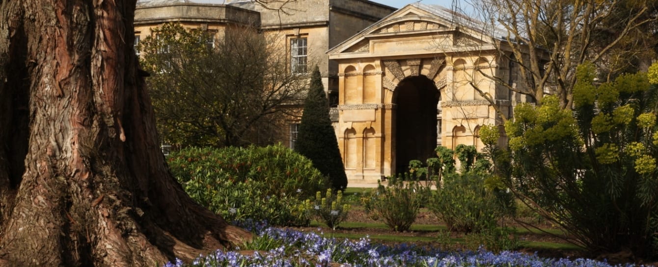 The University Of Oxford Botanic Garden | Experience Oxfordshire