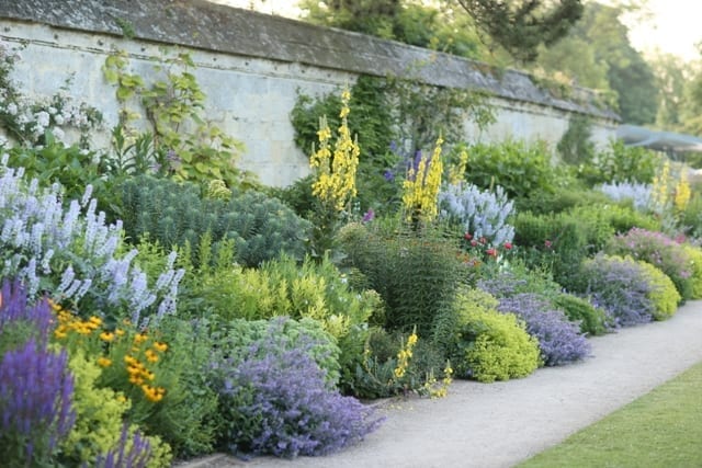 The University Of Oxford Botanic Garden | Experience Oxfordshire