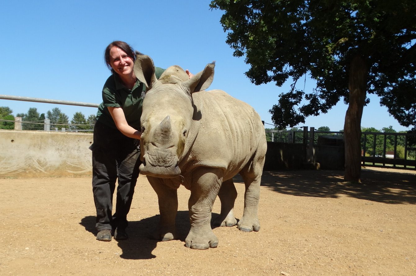 Head Mammal Keeper At Cotswold Wildlife Park And Gardens Is Finalist 