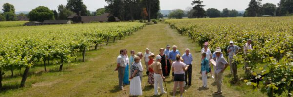 oxford vineyard tour